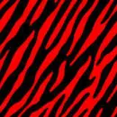 ~ZeBrA~