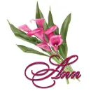 Pink Lily: Ann