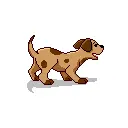 Barking Puppy