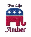 Amber~Pro Life