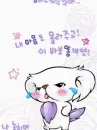 cute dog