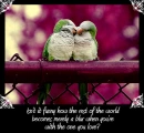 Purple Love Birds