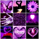 Purple Love Square