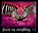 Zebra Kisses