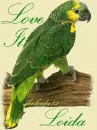 Loida