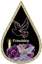Friendship Teardrop