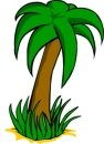 palm