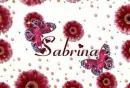 Sabrina Flowers n Butterflies