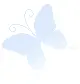 still blue faded butterfly
