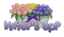 tulips with what's up?