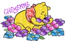 Cheyenne Winnie The Pooh