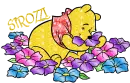 Strozzi Winnie The Pooh