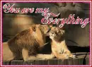 You are my everything