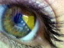 BOSNIA