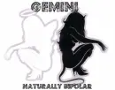 gemini, naturally bipolar