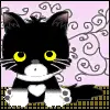 sitting kitty