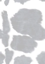Cow Print Background