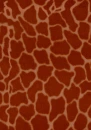 Girrafe print background