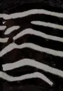 Zebra Print Background x