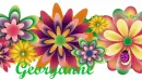 Georganne
