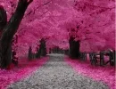 Pretty