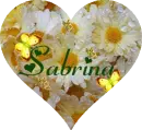 Sabrina Heart Daisy