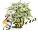 Sabrina Daisies