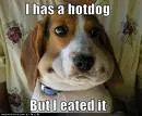 I eats a hotdog.