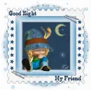 Good Night My Friend