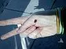 fredward the ladybug.=)