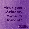 Sokka