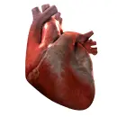 â™¥
