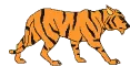 Left Tiger