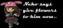 neko says