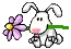 Zaychonok _  Rabbit 