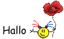 Hallo