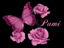 Pami