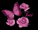Toti