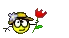 Hallo