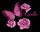 Carla