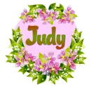 judy