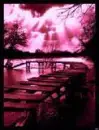 pink2