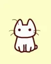 Cute Cat