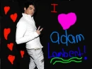 Adam Lambert