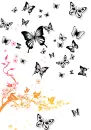 butterflies