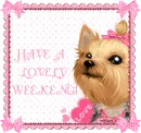 Have A Lovely weekend!