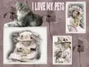 pets
