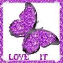 purple butterfly