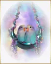 love birds