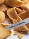 Pregnant Fortune